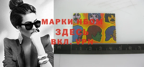 соль ск Дмитриев