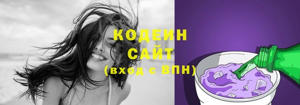 соль ск Дмитриев