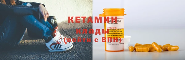 соль ск Дмитриев