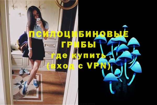 mix Дмитров