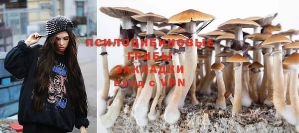 кокс Дмитровск