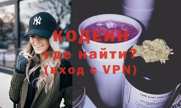 соль ск Дмитриев