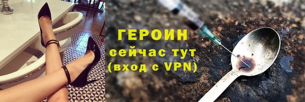 соль ск Дмитриев