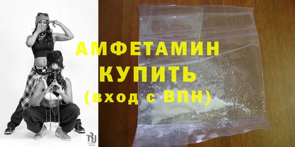 соль ск Дмитриев