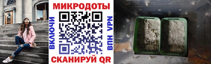 Галлюциногенные грибы мицелий Ершов